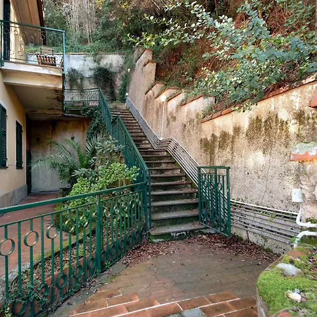 Aurea Apartament *